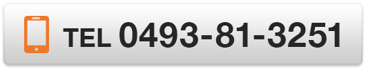 0493-81-3251