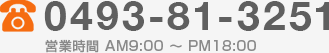 0493-81-3251